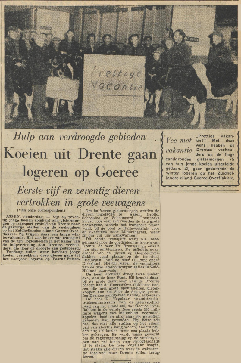 19591112 krant HetParool Koeien op vakantie